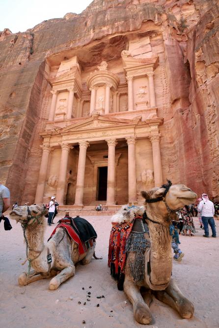 Jordanie dans un Petra sans touristes les animaux crient famine